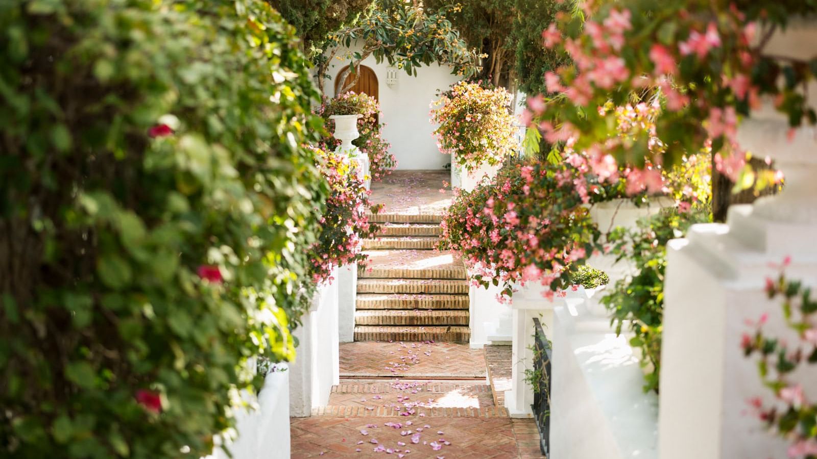 Walkway at the entrance surrounded by flowers at Marbella Club