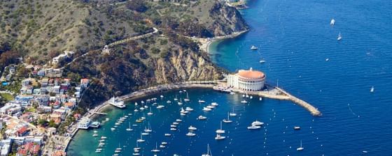 Aerial view of a harbor and town featuring the Catalina Island Casino near Catalina Island Company