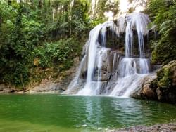 Tropical waterfall cascades down mossy rocks into an emerald-green natural pool in Gozalandia Waterfalls near Royal Isabela