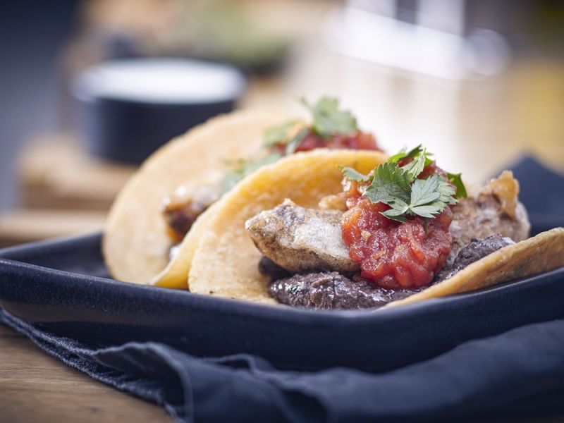 Close-up of tacos served in La Joya at Grand Fiesta Americana