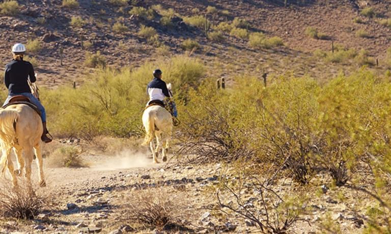 Scottsdale Area Local Attractions & Things To Do