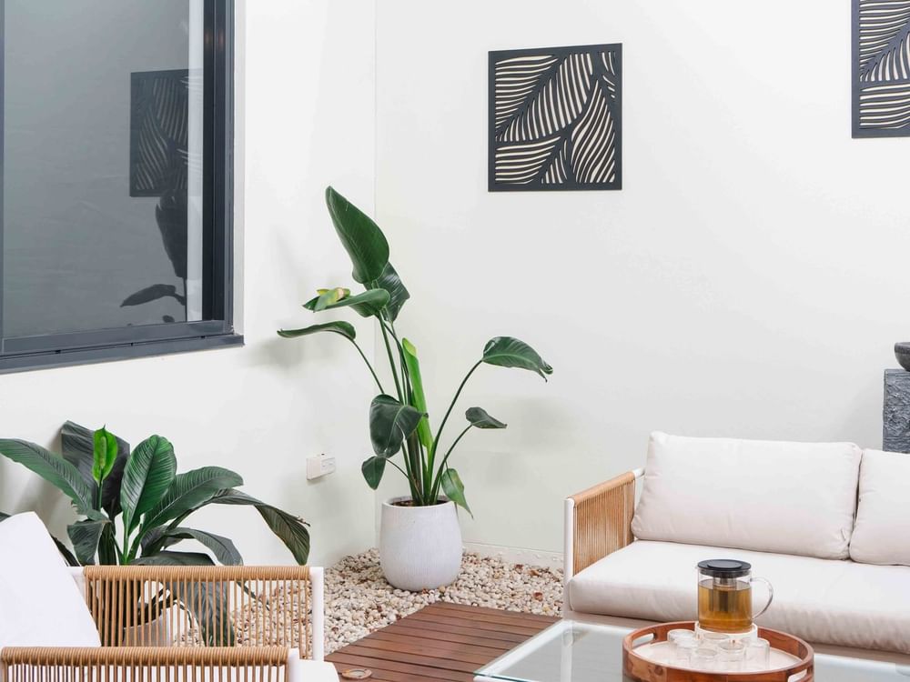 Wildfire Day Spa with white sofa, indoor plants, and abstract wall art at Mercure Kooindah Waters