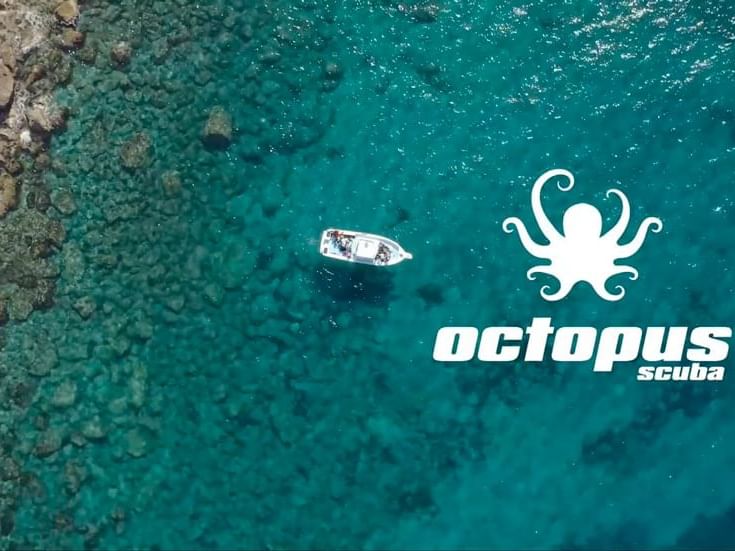 Octopus Mallorca Diving School Puerto de Sóller Gran Hotel Sóller