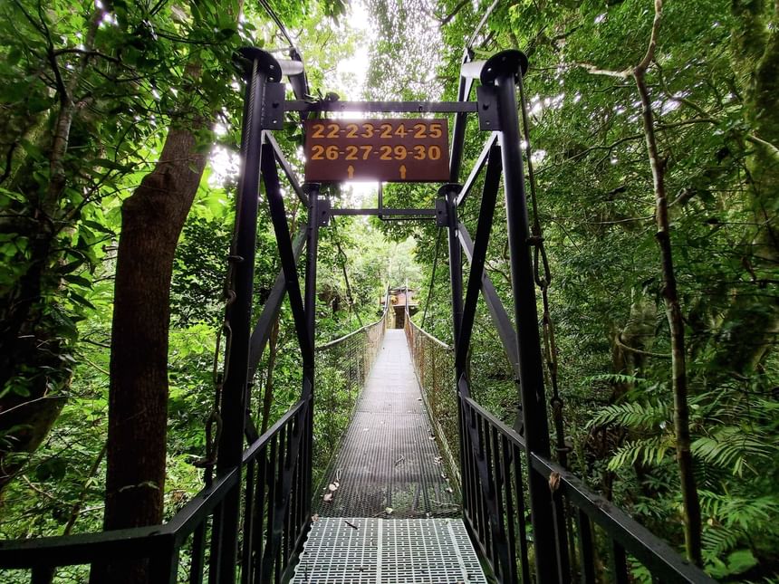 Hanging bridge in the middle of the jungle at Jaguarundi Lodge