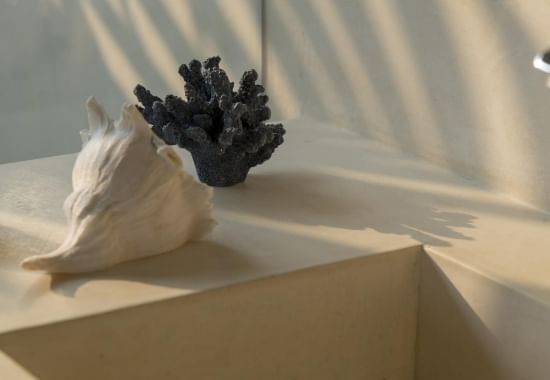 A conch shell & coral by a bathtub at Marea Beachfront Villas