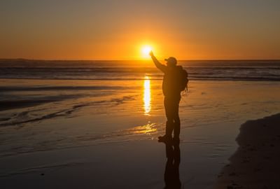 Man watching the sunset at the beach near Gordon River Cruise