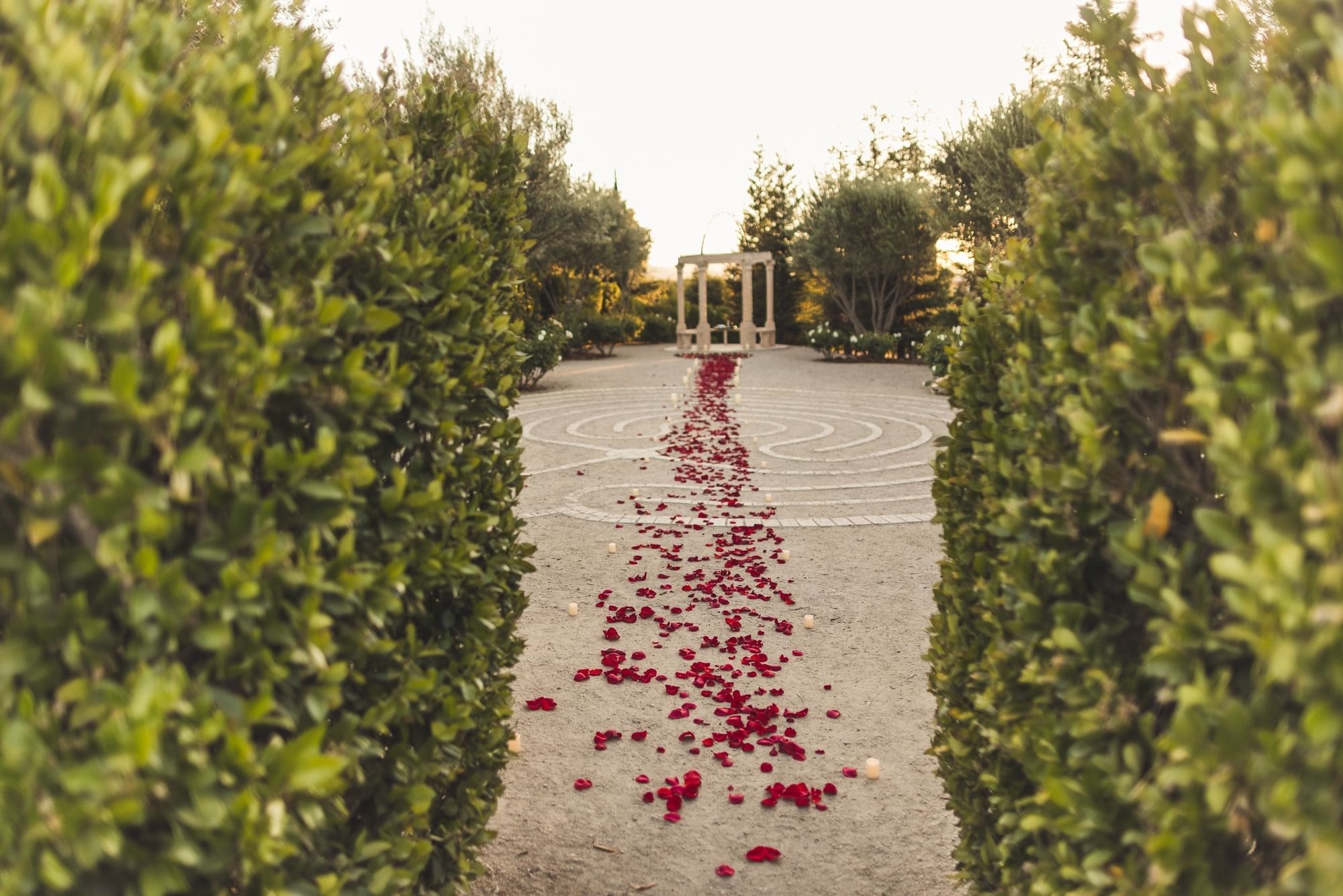 Trail of red rose petals outdoors leading to gazebo