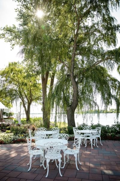 Willow tree on Pavillon terasse at Chateau Vaudreuil