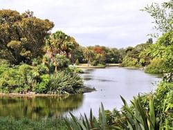 Riverside at Royal Botanic Gardens near Amora Hotel