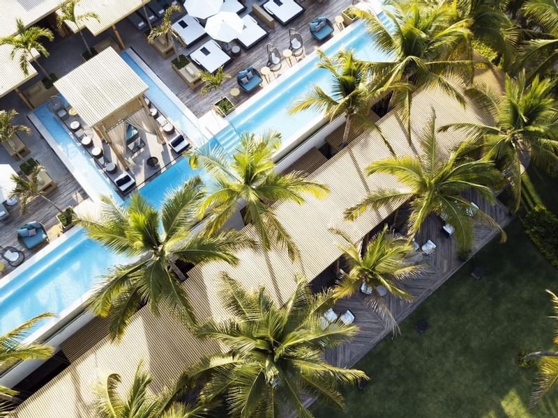 Top view of an outdoor pool with palm trees at FA Hotels