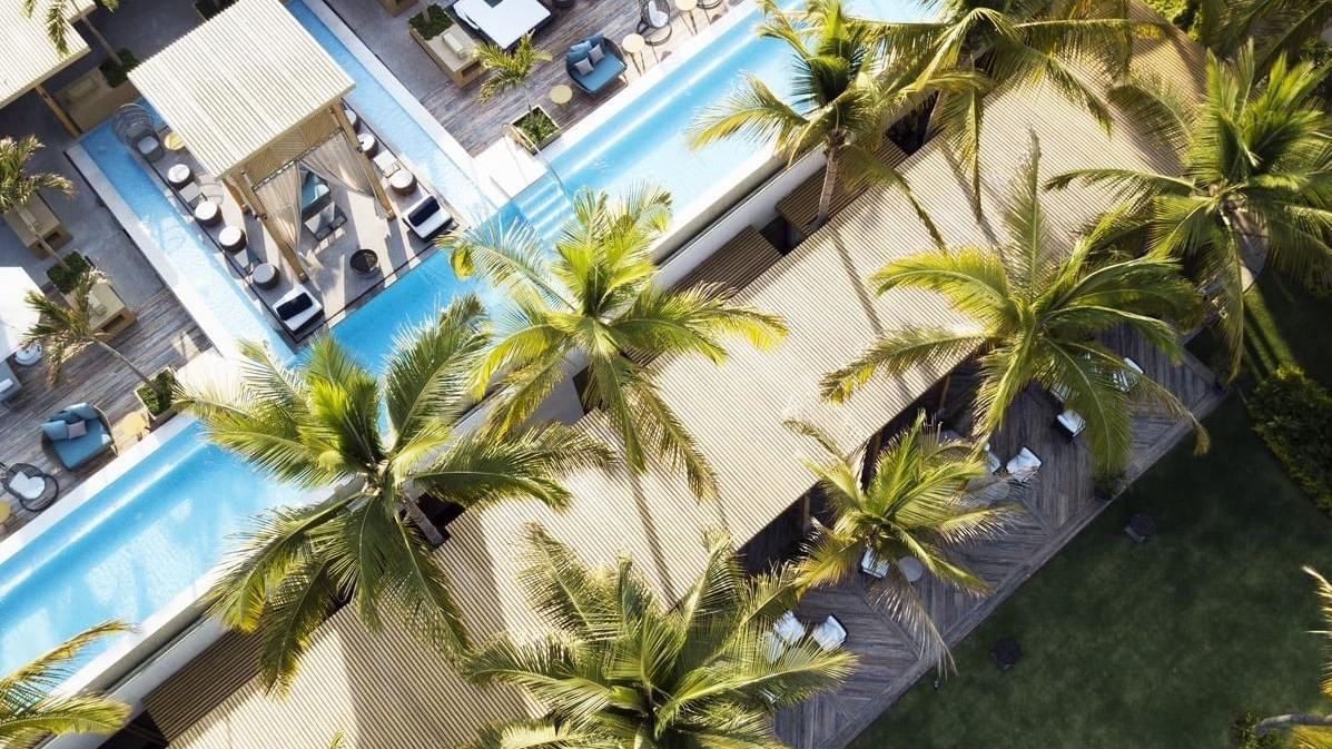 Top view of an outdoor pool with palm trees at FA Hotels