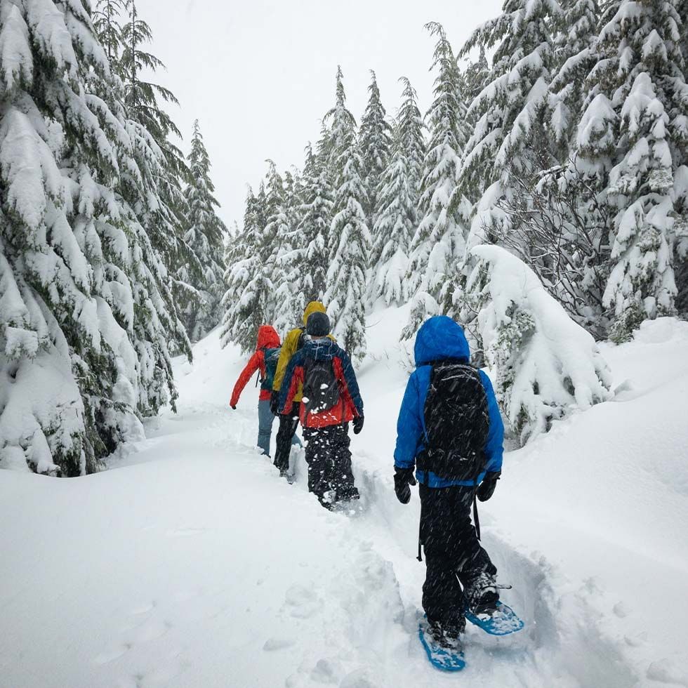 4 Cross-country skier near Falkensteiner Hotels