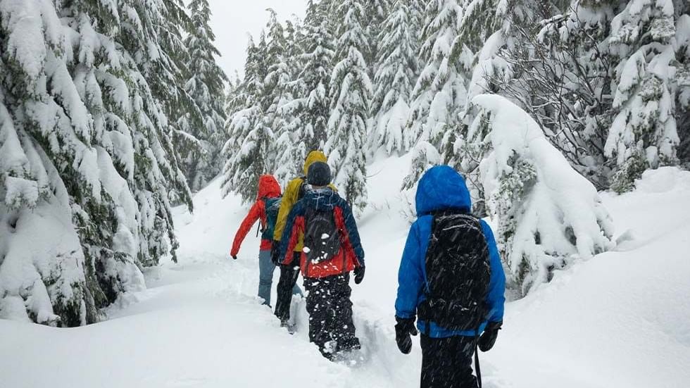 Group of people hiking through a snowy forest with snow-covered trees near Falkensteiner Hotel Montafon