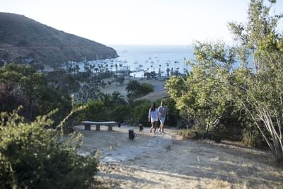 Panoramic view of landscape and sea at Catalina Island at Banning House Lodge