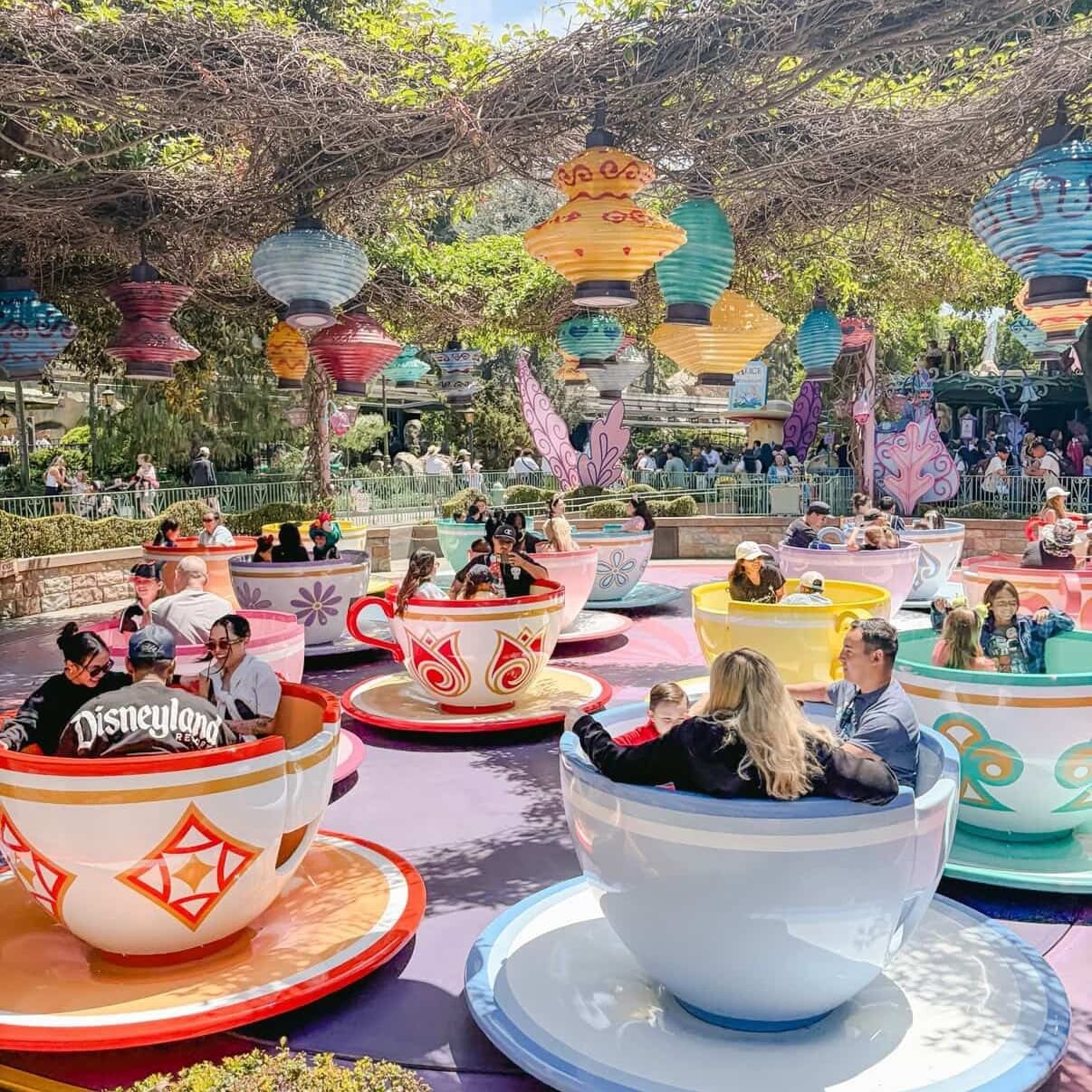 Families enjoying colorful spinning teacup ride at Disneyland theme park on a sunny day with decorative lanterns overhead.