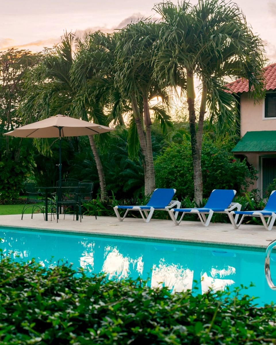 Outdoor swimming pool at The Hub Hotels in Higuey, Dominican Republic, with blue lounge chairs and palm trees