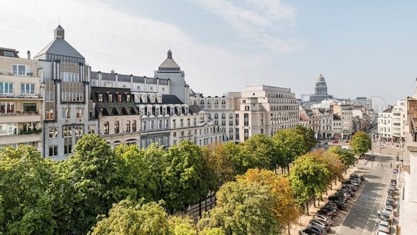 High-angle view of city buildings by a row of green trees under a pale sky near Hotel Barsey by Warwick