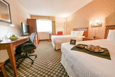Two guest beds with breakfast try on one of the beds.