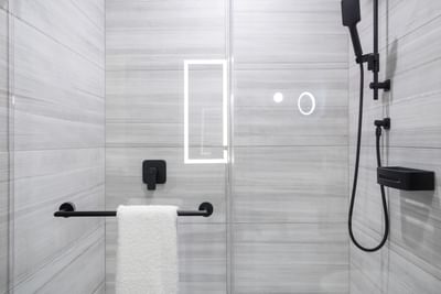 Bathroom shower area at Sandman Signature Fort Worth Downtown