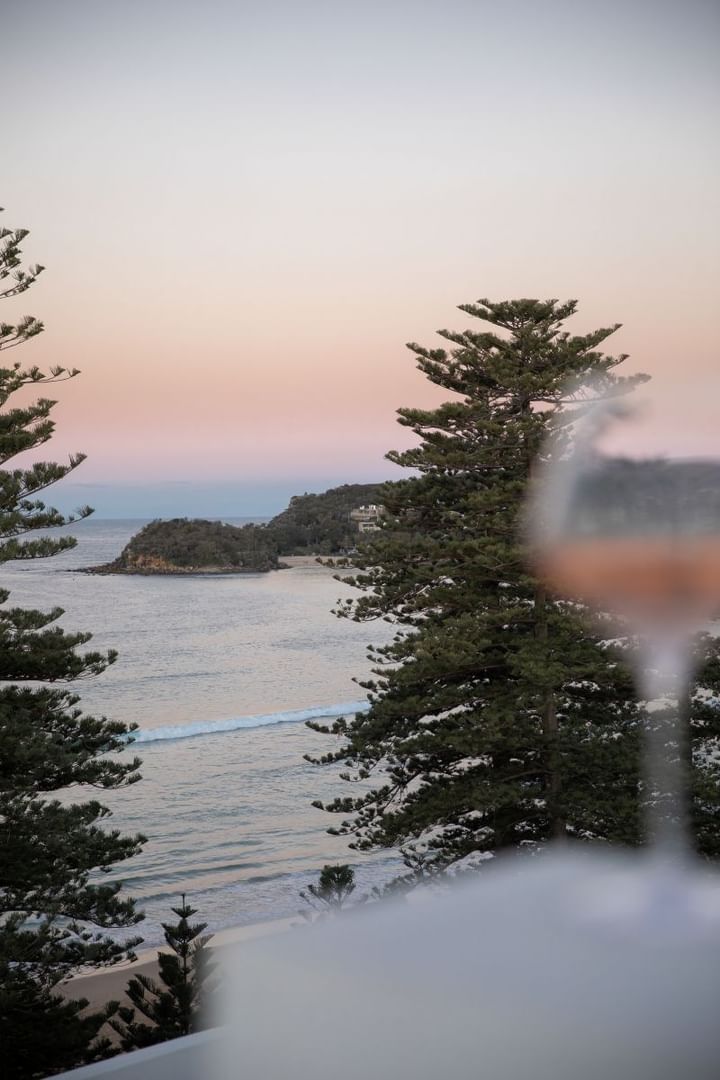 Elysium Manly landscape view looking through pine trees toward a distant island past a blurry raised cocktail glass