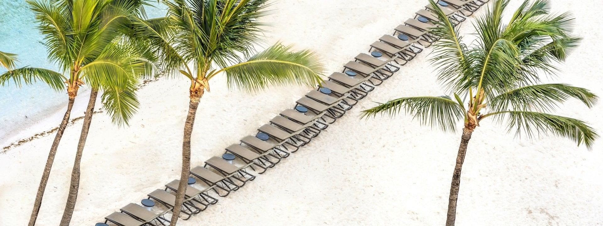 Brown loungers by palm trees under the sun surrounding a white sandy beach near Warwick Paradise Island Bahamas