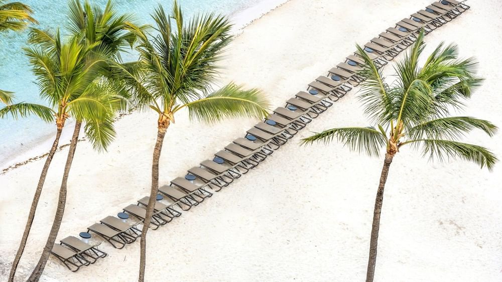 Brown loungers by palm trees under the sun surrounding a white sandy beach near Warwick Paradise Island Bahamas