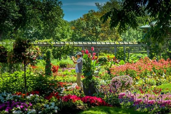 Landscaping at Botanical Gardens.