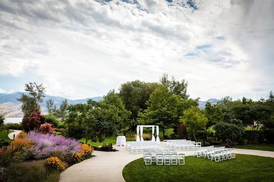 Ceremony Chairs