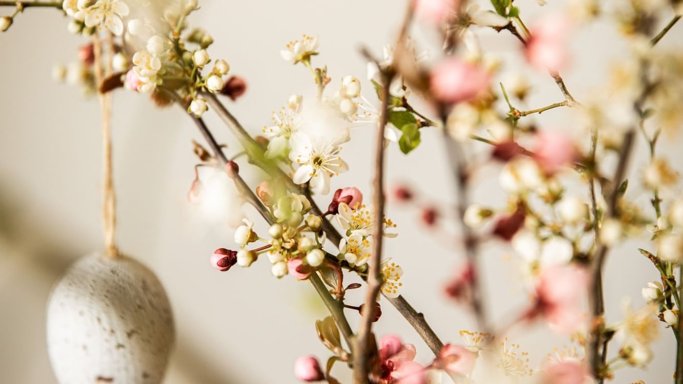 Close-up of Easter decorations at The Clermont Victoria