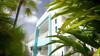 Vagabond Motel signage on the main building surrounded by lush greenery