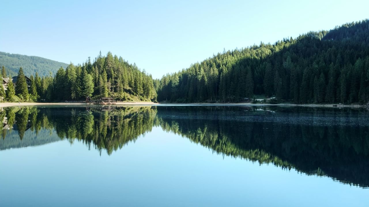 Lake surrounded by pine trees