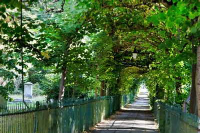 Garden at Victoria Square Hotel in Bristol