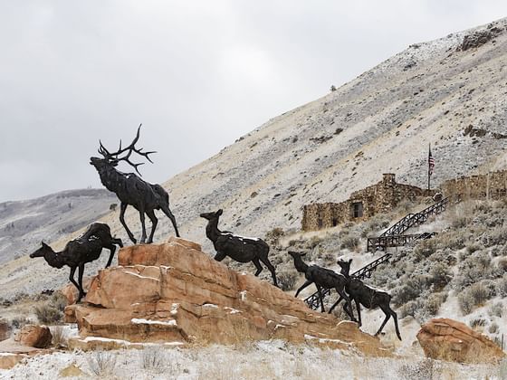 A herd of deer at the mountains near Hotel Jackson