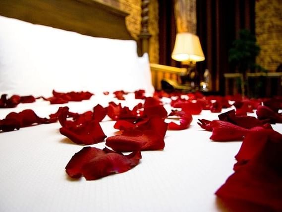 Offer for Honeymooners at Hotel Arcadia Blue Istanbul