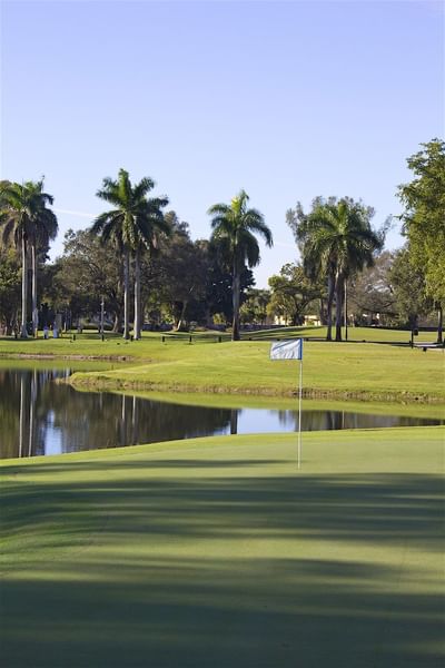 flag near water on golf course