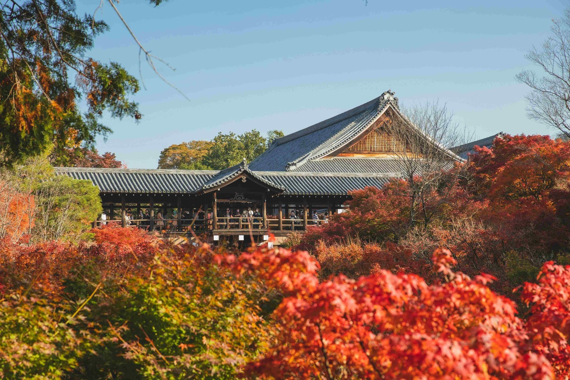 Autumn foliage in Kyoto with traditional Japanese architecture in the background