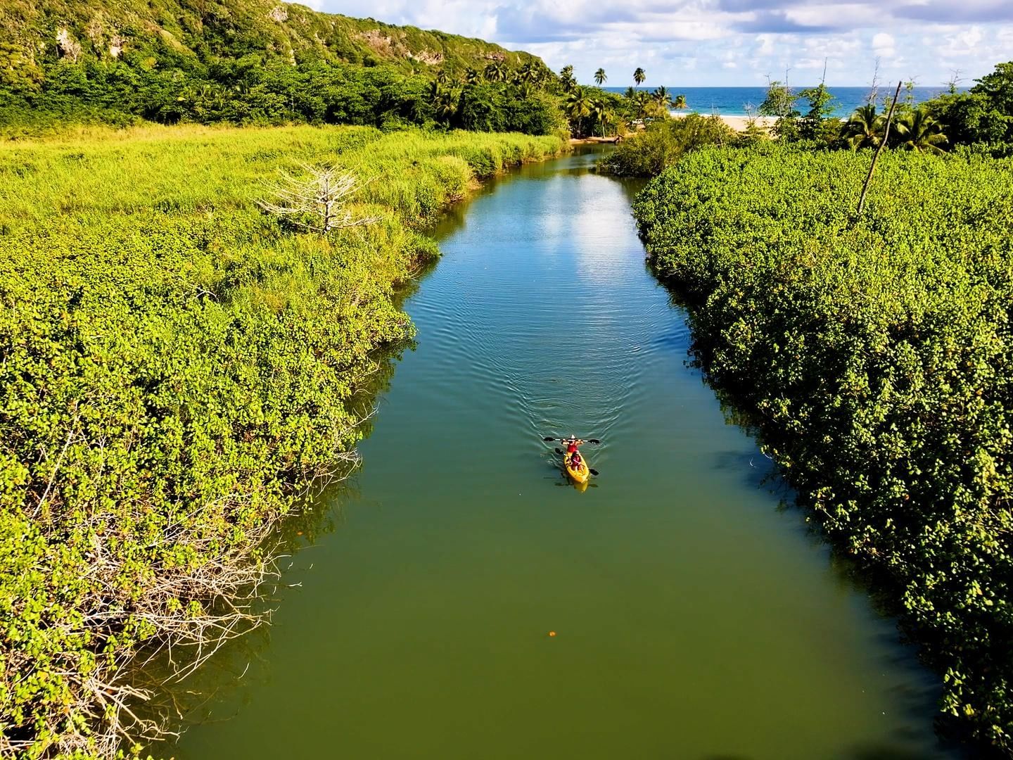 Aerial view of a tranquil river flowing through dense, green foliage near Royal Isabela, fun things to do in Puerto Rico