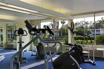 Photo of spinning fitness machine and pedaled stair climber