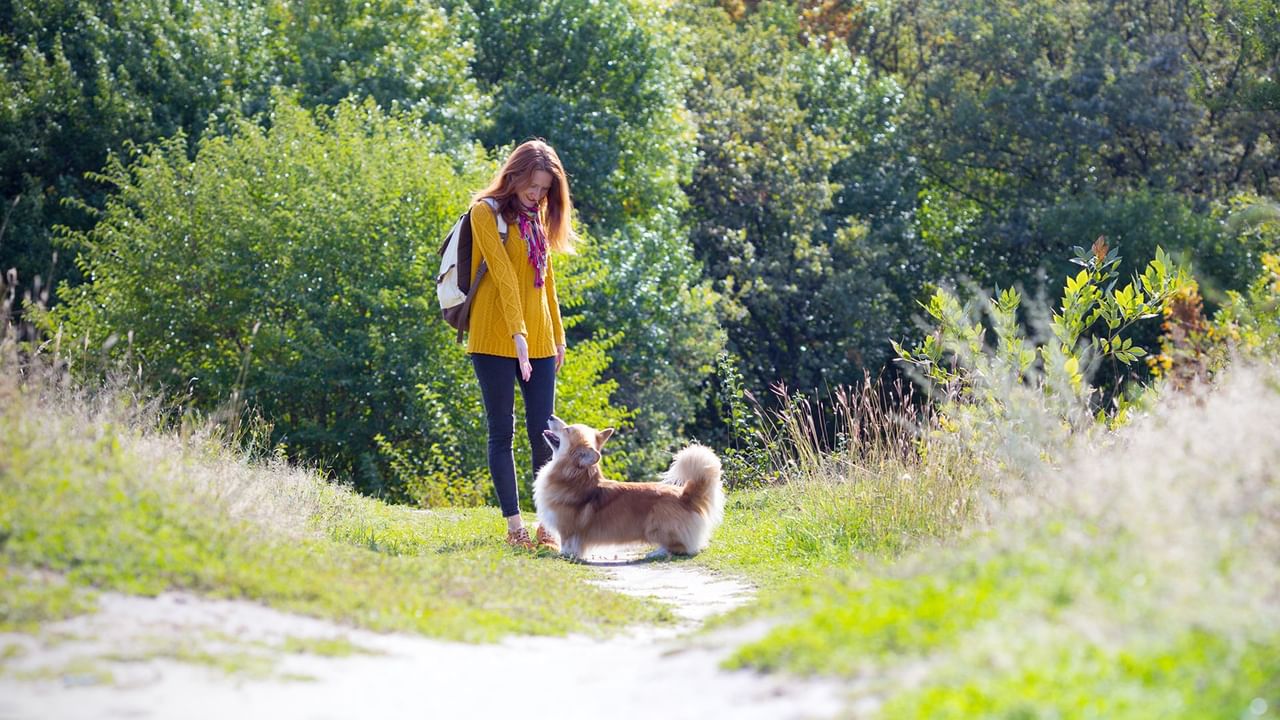 A woman walking her dog on a grassy area.