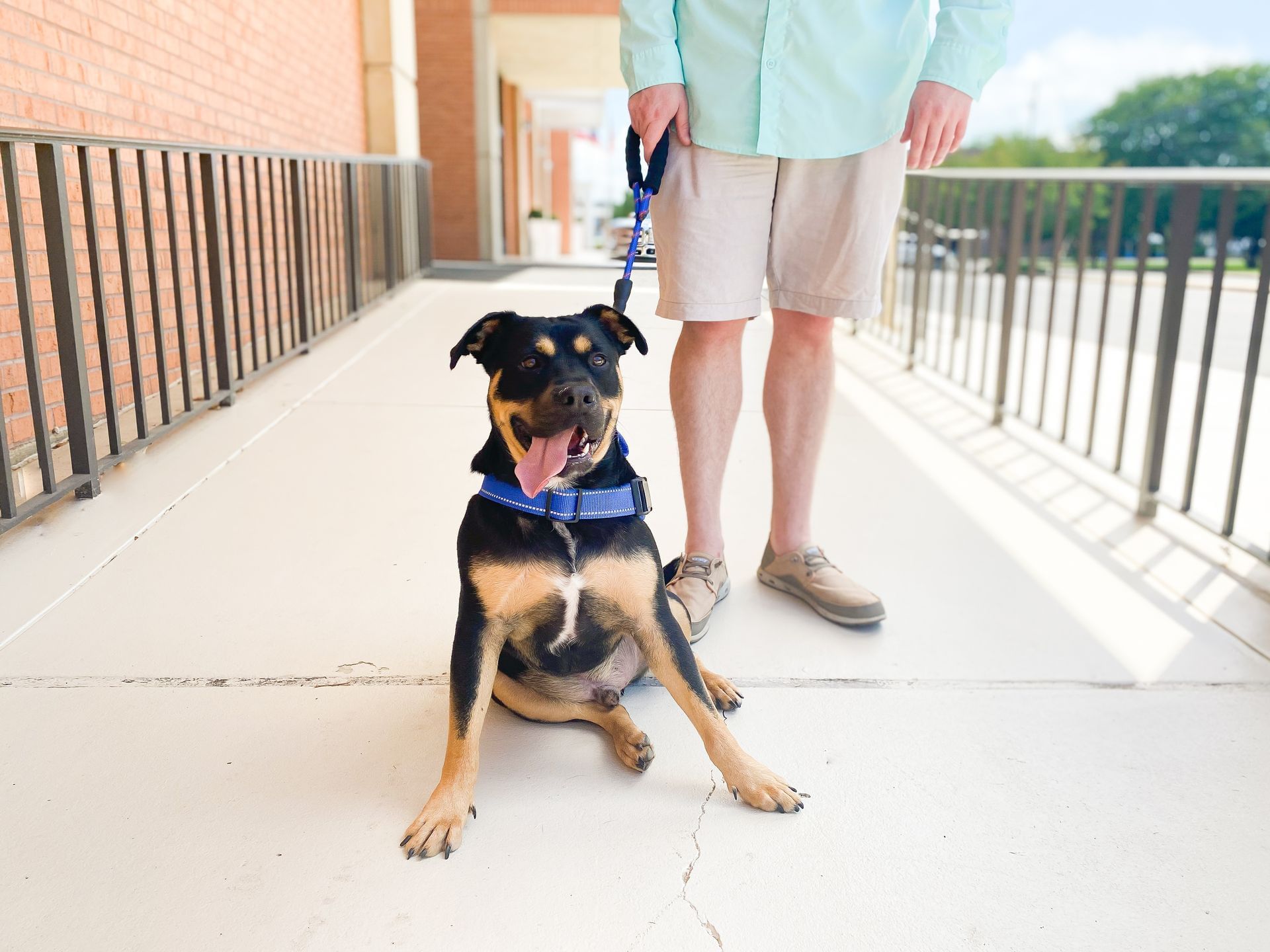 Amenities Pet Friendly Rooms & More The Fredonia Hotel