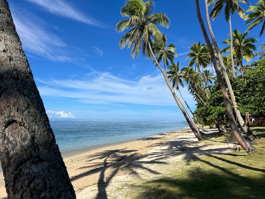 Sandy beach with palm trees and ocean view at Tambua Sands Beach Resort in Fiji.