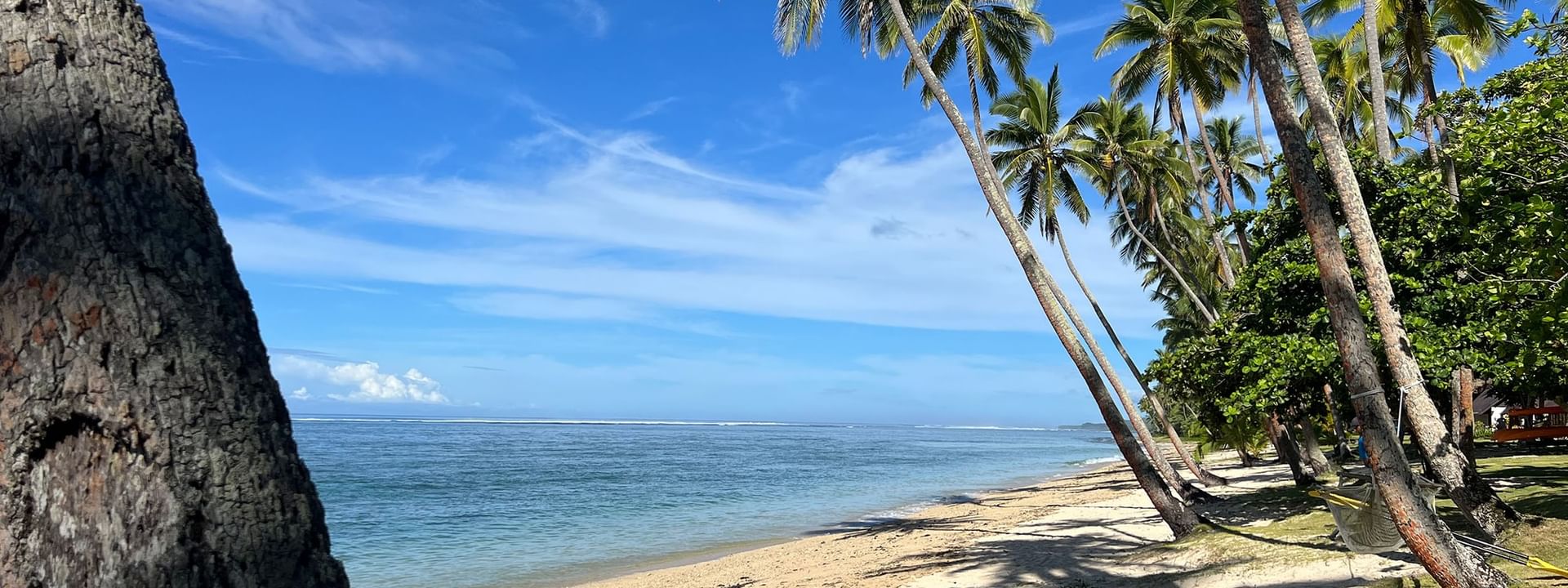 Sandy beach with palm trees and clear blue water at Tambua Sands Beach Resort in Sigatoka.
