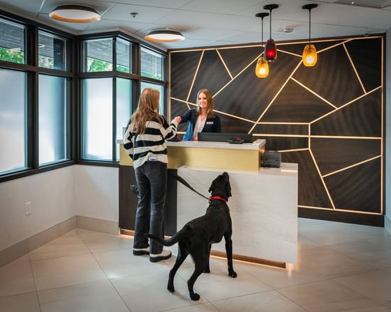 A woman standing at a reception desk with a dog at Hotel 43