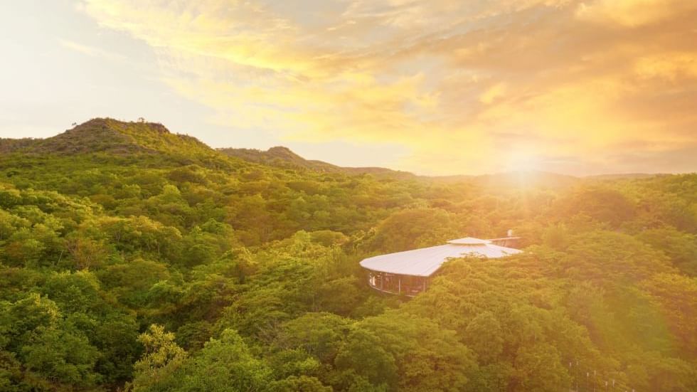 Aerial view of the sun setting on the trees & hotel at Hotel Rio Perdido