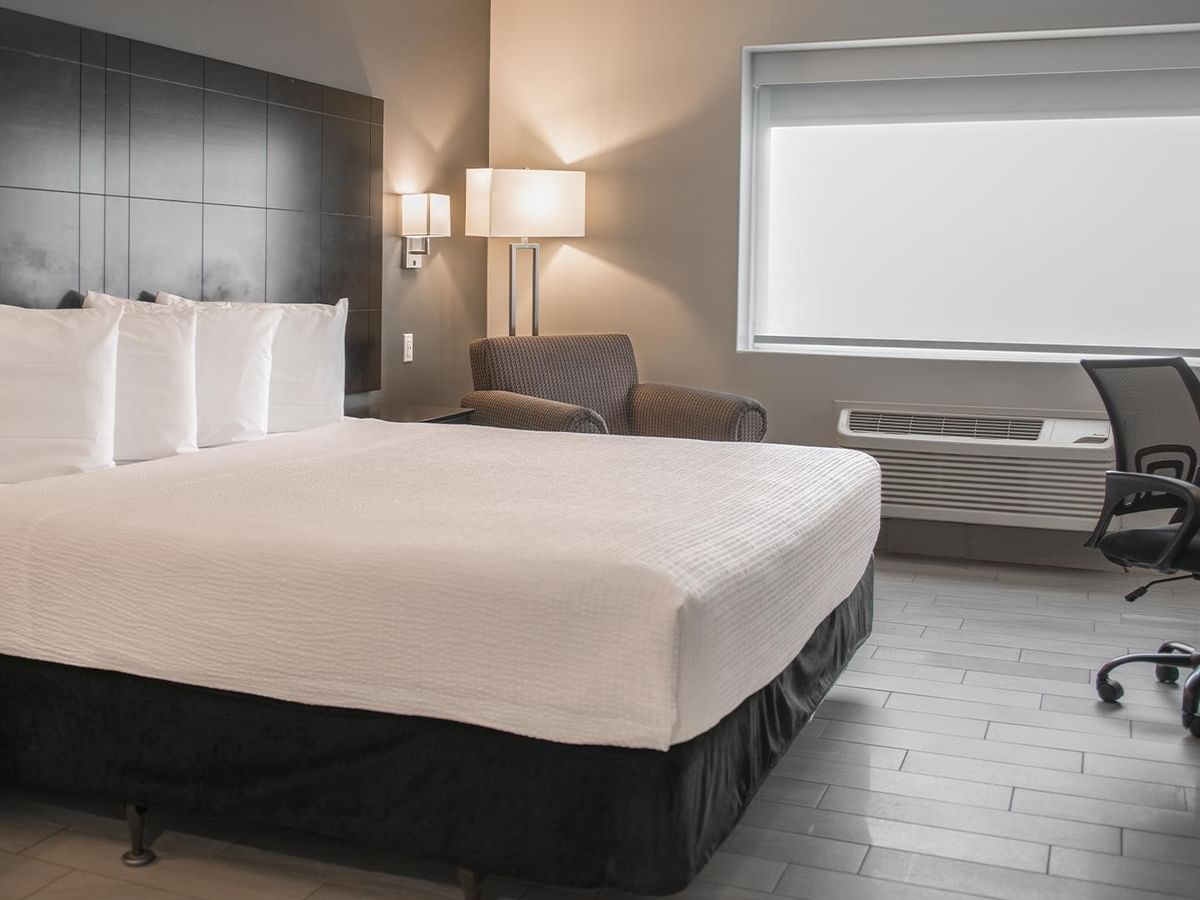 King size bed, chair, desk, and window in a pet friendly room.