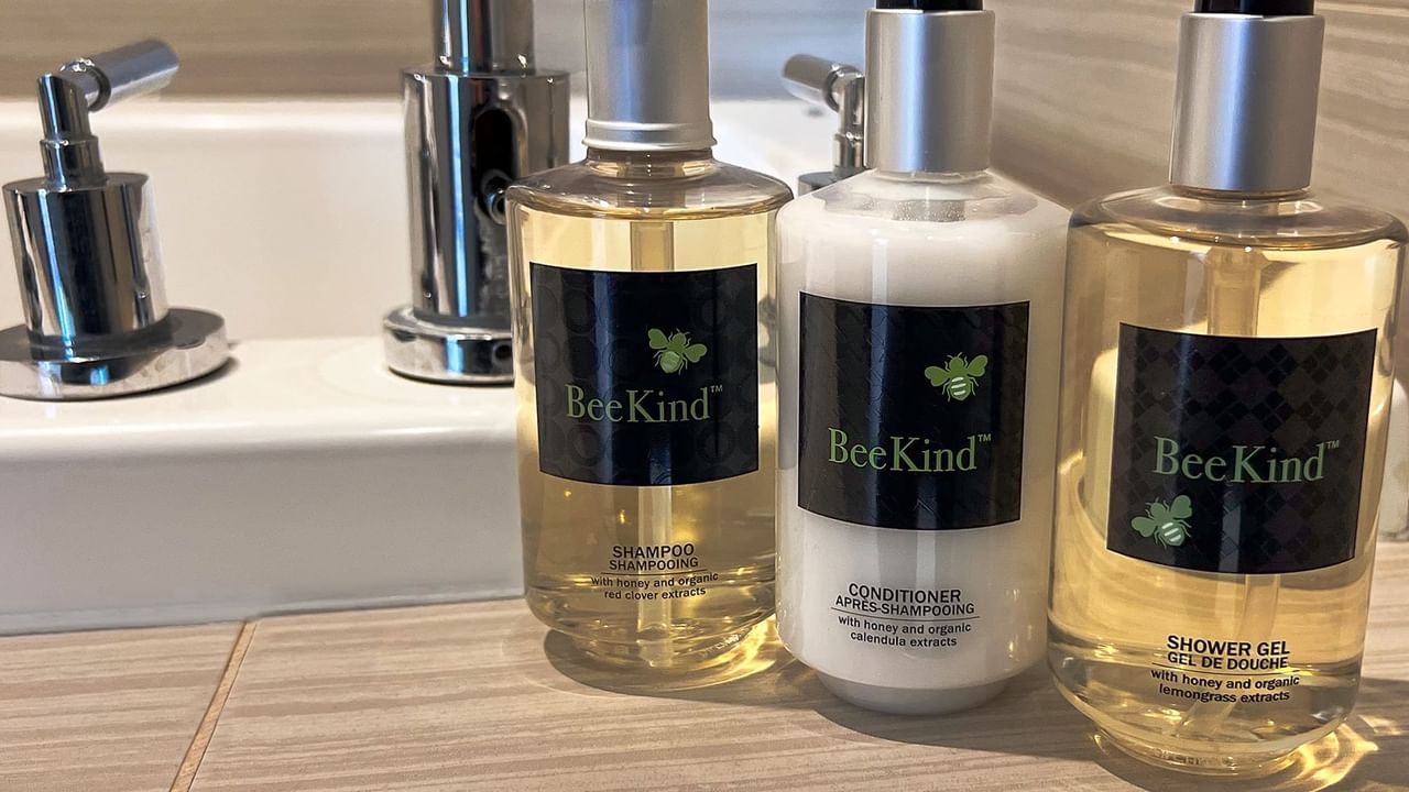 Washroom sink and soap