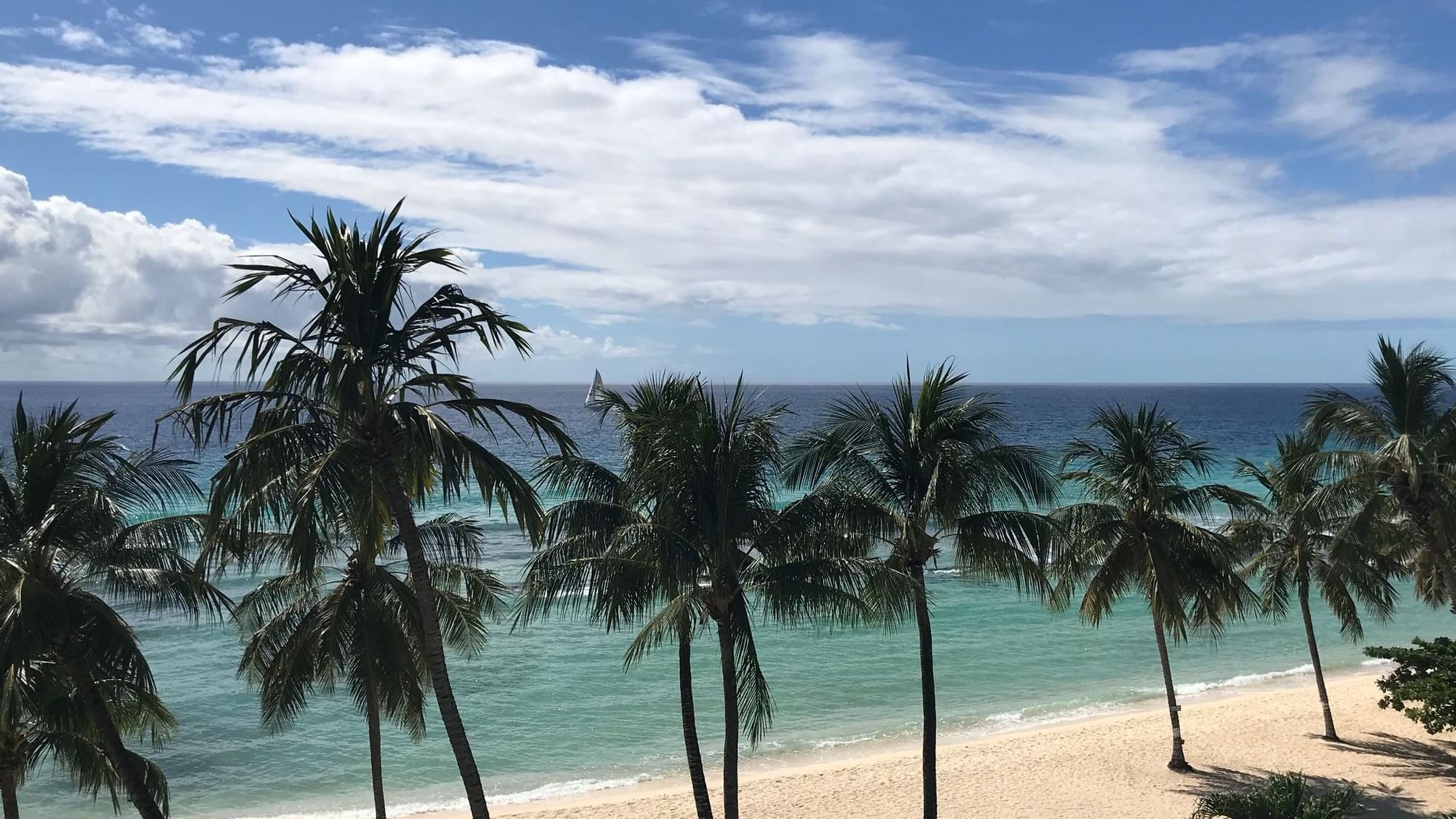 Deluxe Ocean Front Room Coconut Court Beach Hotel Rooms