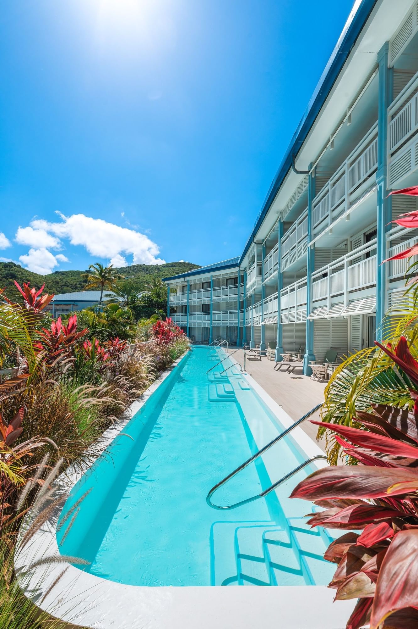 Outdoor pool with vibrant tropical plants at King Bed Suite with Swim-Out Pool Access in Saint Martin Beach & Spa