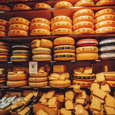 A shelf of cheese in a cheesery near Falkensteiner Hotels