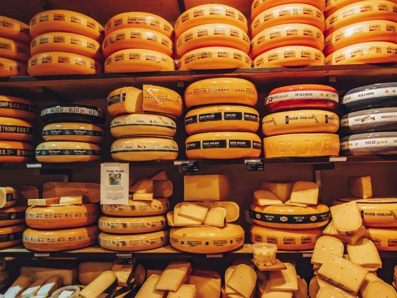 A shelf of cheese in a cheesery near Falkensteiner Hotels